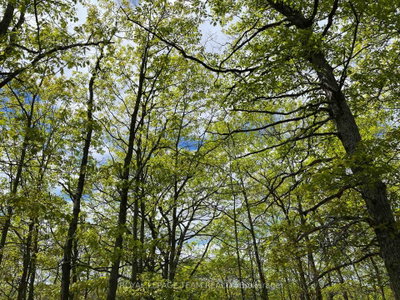 0 Wales Drive • Barry's Bay, ON photo 8