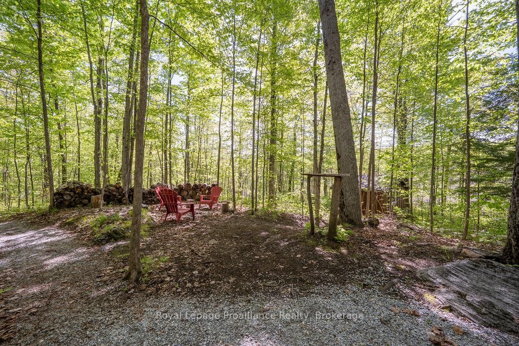 1633 Brewer Road • Kaladar, ON photo 16