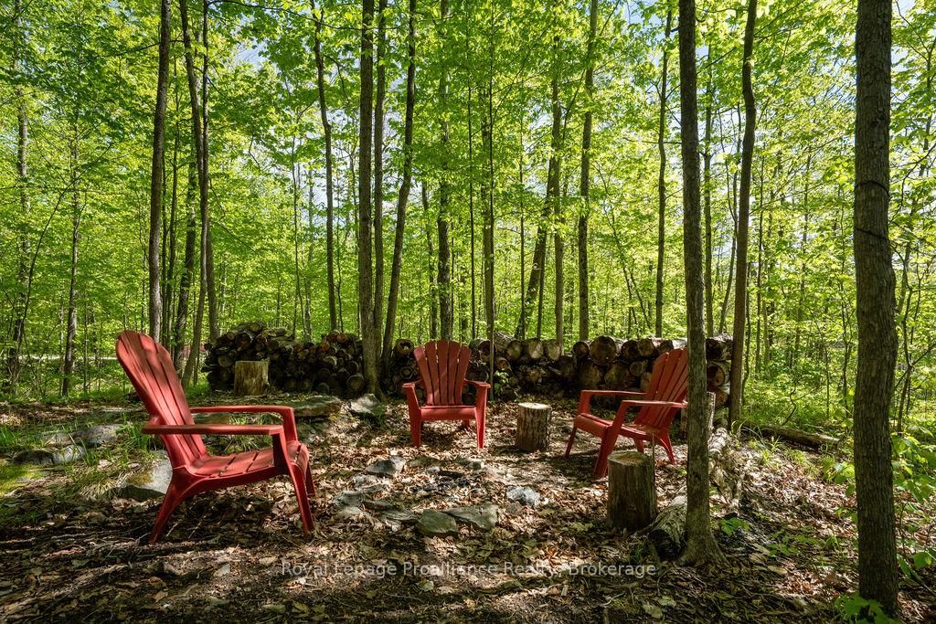 1633 Brewer Road • Kaladar, ON photo 17