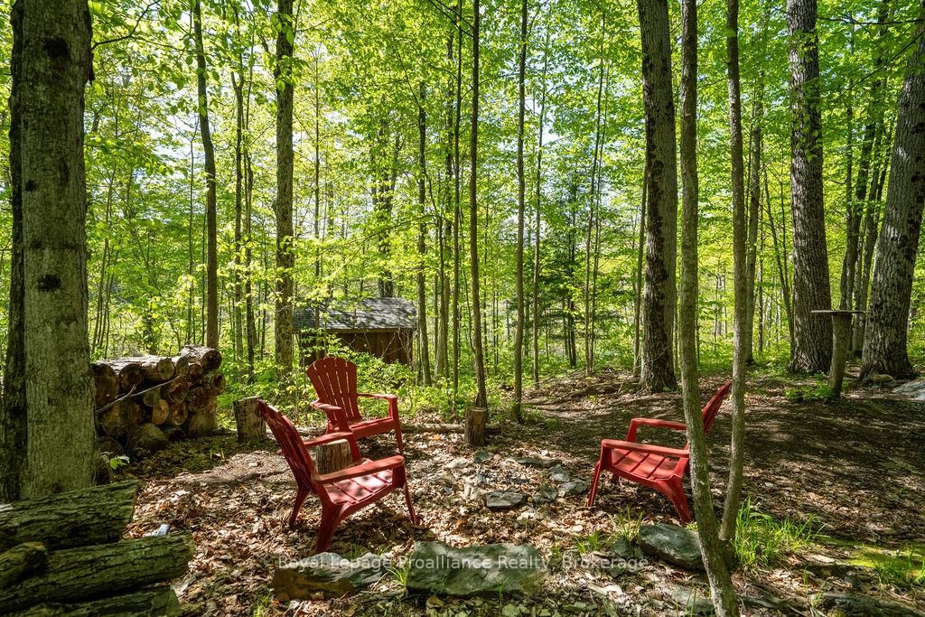 1633 Brewer Road • Kaladar, ON photo 18