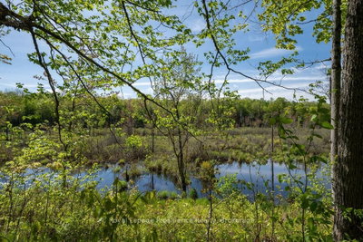 1633 Brewer Road • Kaladar, ON photo 2