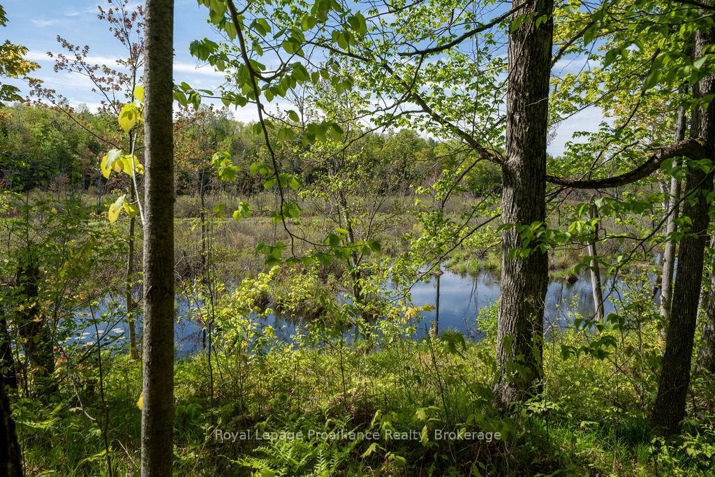 1633 Brewer Road • Kaladar, ON photo 25