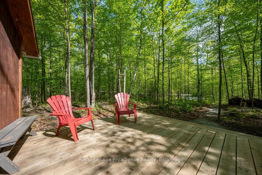 1633 Brewer Road • Kaladar, ON photo 3