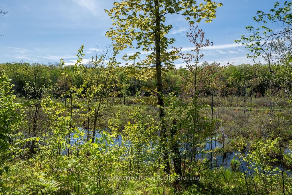 1633 Brewer Road • Kaladar, ON photo 31