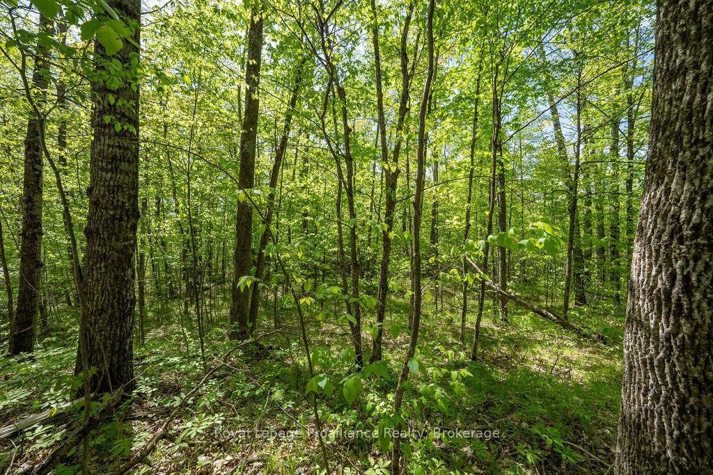 1633 Brewer Road • Kaladar, ON photo 32