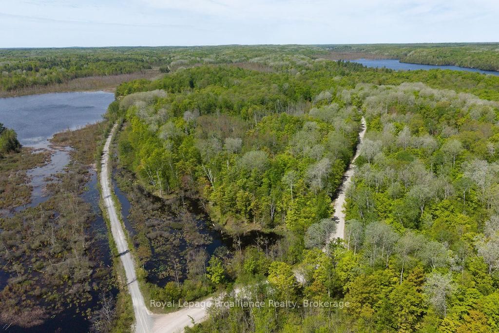 1633 Brewer Road • Kaladar, ON photo 34