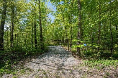 1633 Brewer Road • Kaladar, ON photo 6
