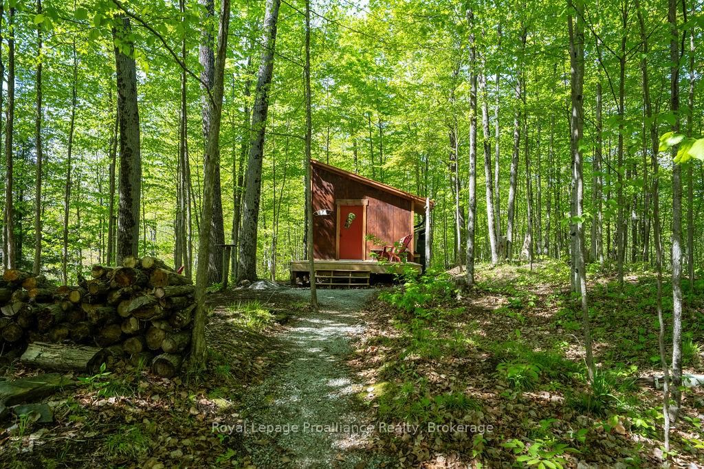 1633 Brewer Road • Kaladar, ON photo 7