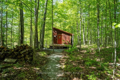 1633 Brewer Road • Kaladar, ON photo 7