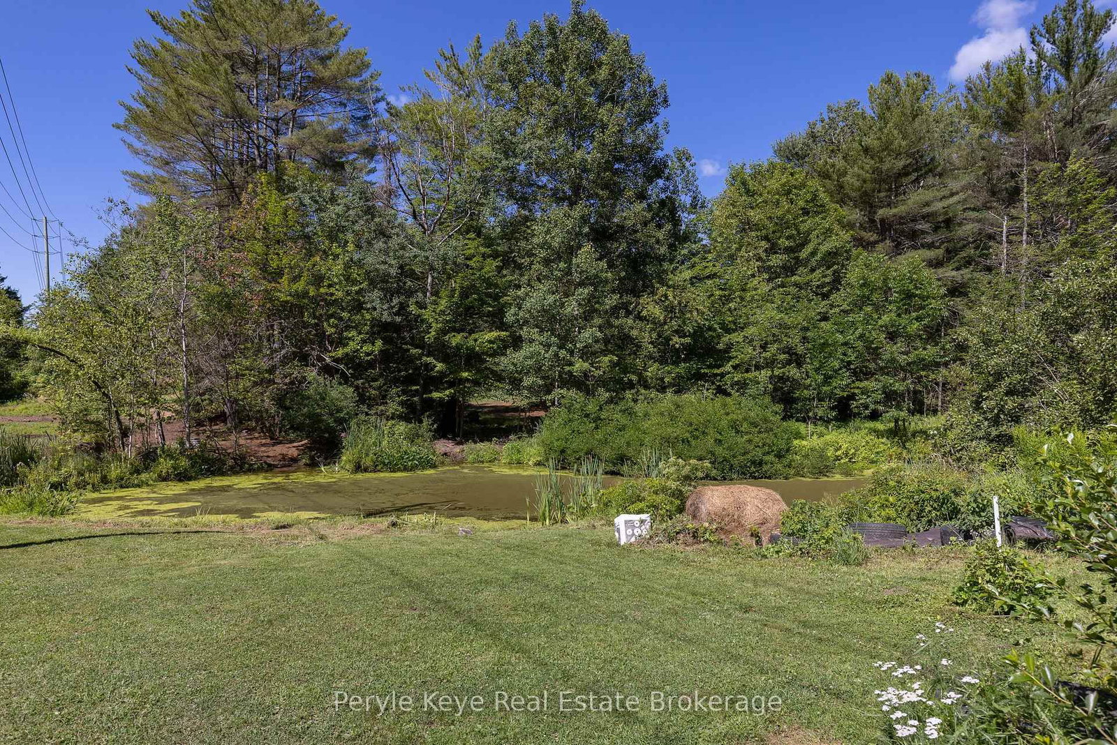 2322 Old Muskoka Road • Huntsville, ON photo 39