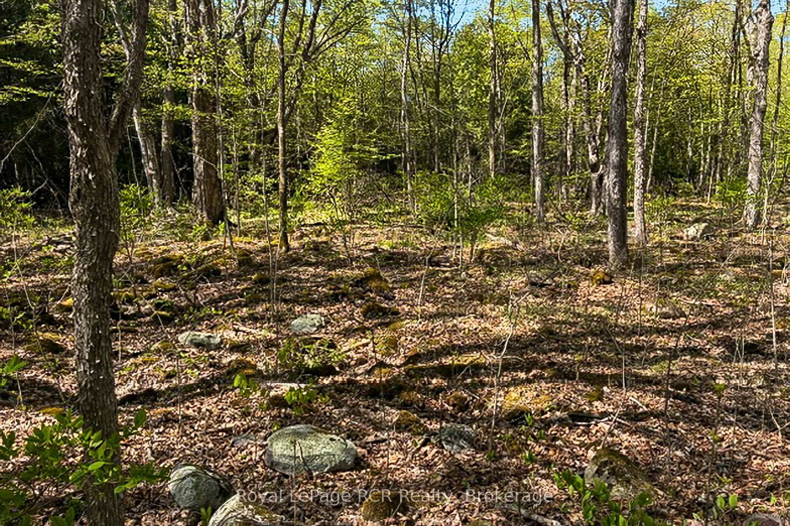 N/A SUTTER ROAD Road W • Northern Bruce Peninsula, ON photo 10