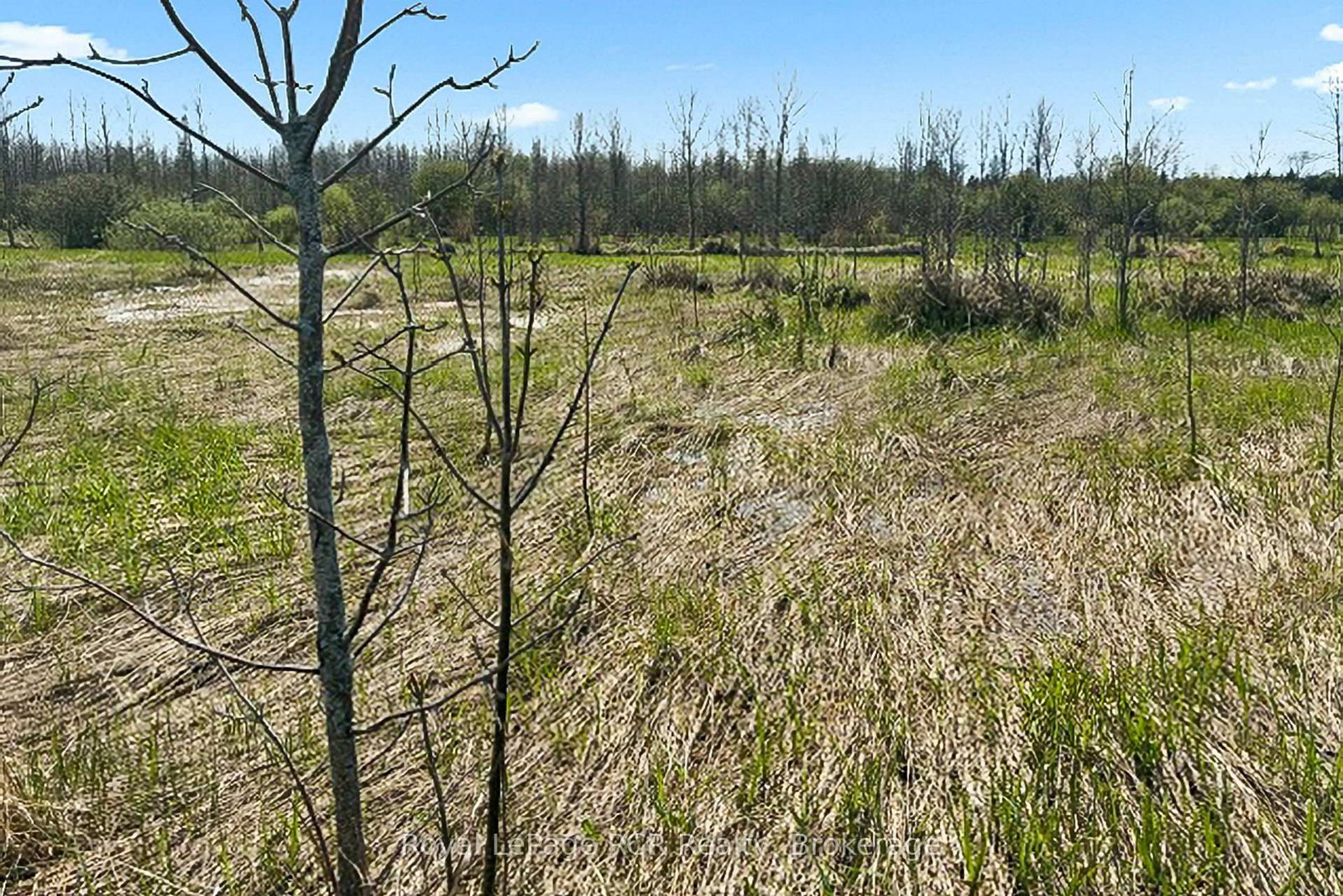 N/A SUTTER ROAD Road W • Northern Bruce Peninsula, ON photo 19