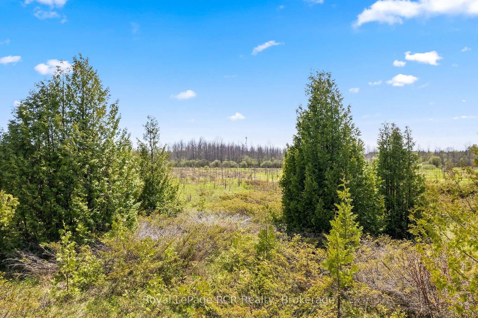 N/A SUTTER ROAD Road W • Northern Bruce Peninsula, ON photo 20