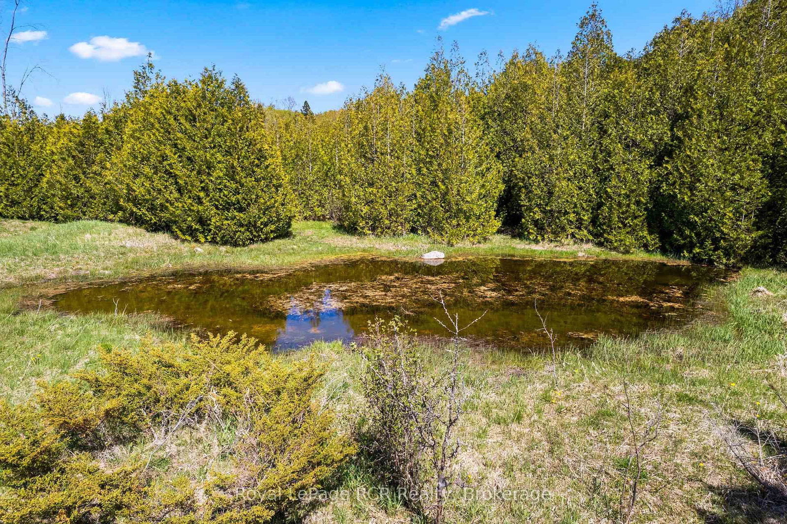 N/A SUTTER ROAD Road W • Northern Bruce Peninsula, ON photo 21