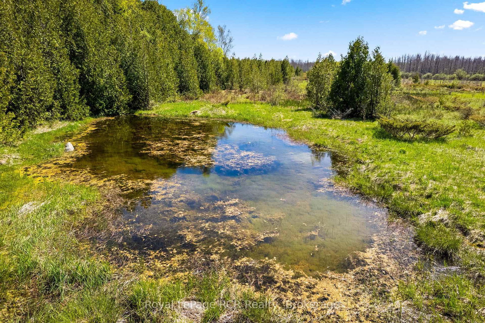 N/A SUTTER ROAD Road W • Northern Bruce Peninsula, ON photo 22
