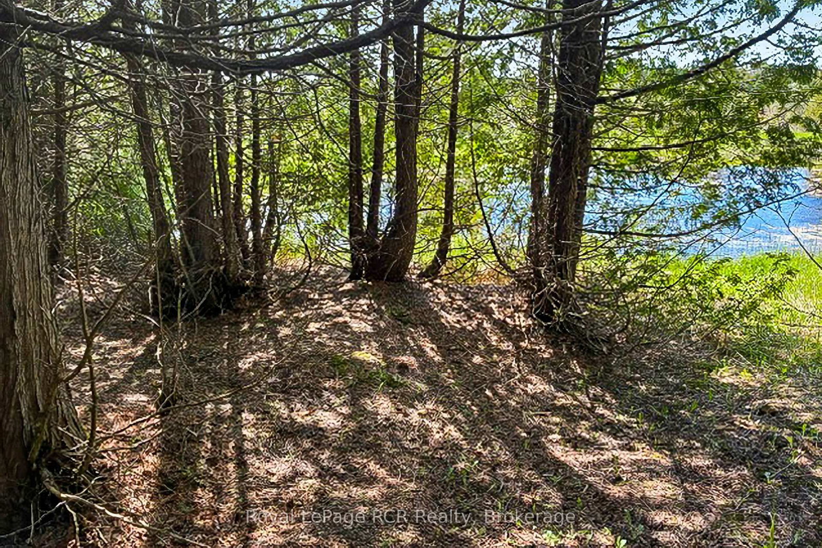 N/A SUTTER ROAD Road W • Northern Bruce Peninsula, ON photo 24