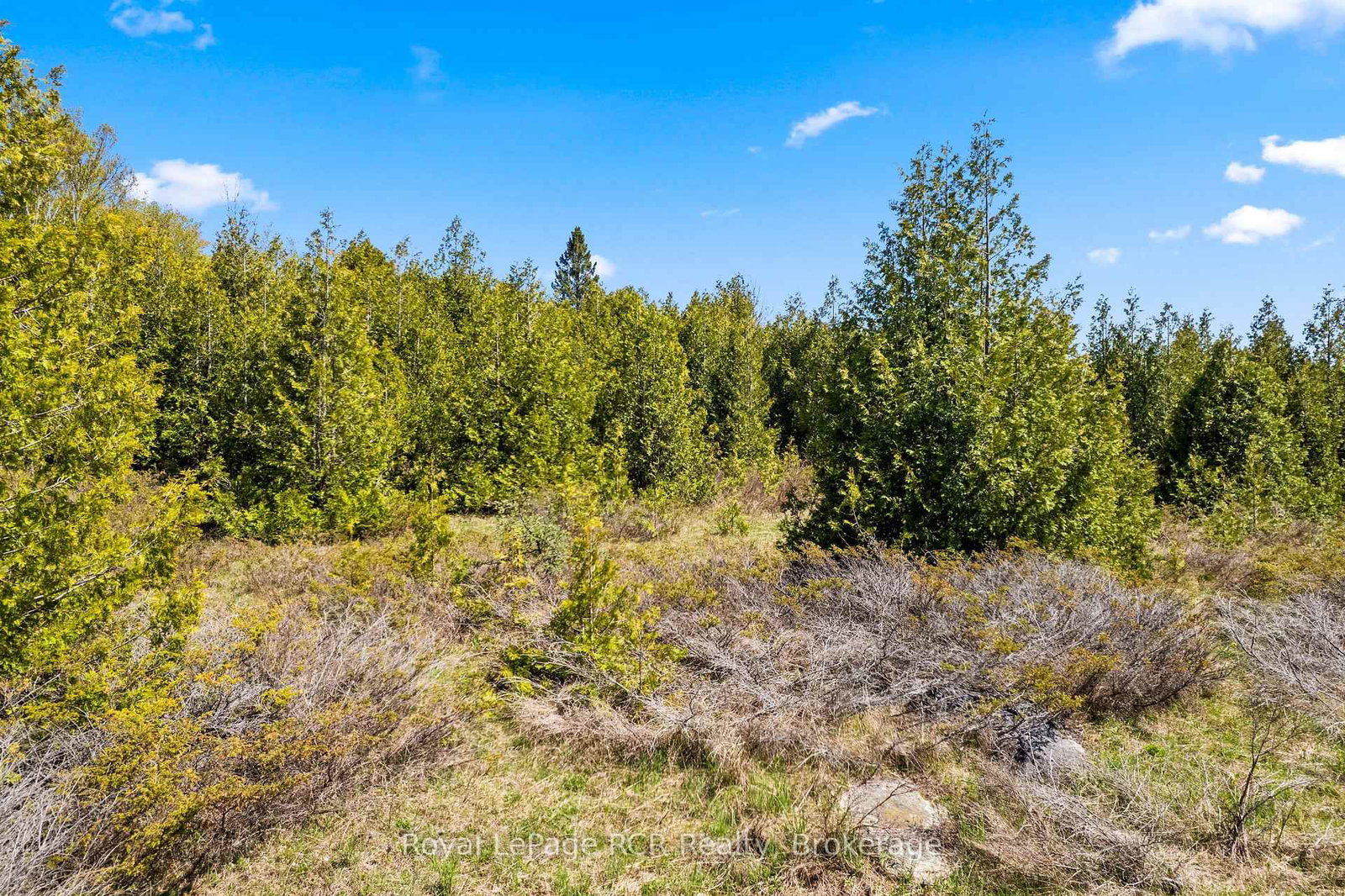 N/A SUTTER ROAD Road W • Northern Bruce Peninsula, ON photo 25