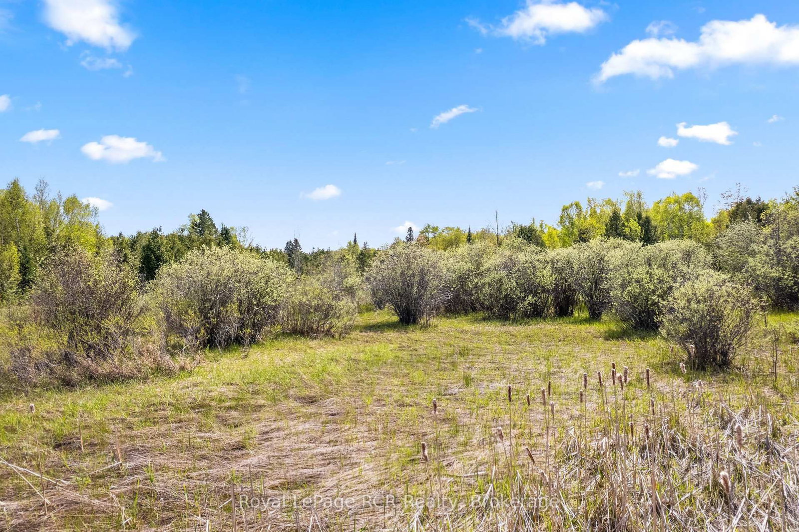 N/A SUTTER ROAD Road W • Northern Bruce Peninsula, ON photo 26