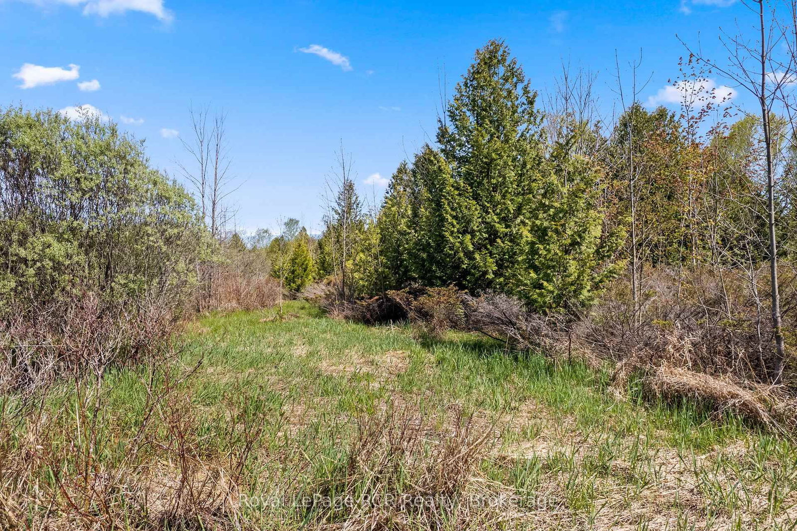N/A SUTTER ROAD Road W • Northern Bruce Peninsula, ON photo 29