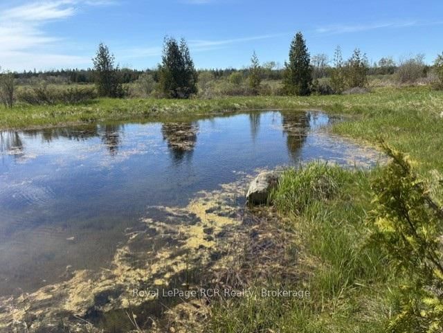 N/A SUTTER ROAD Road W • Northern Bruce Peninsula, ON photo 3