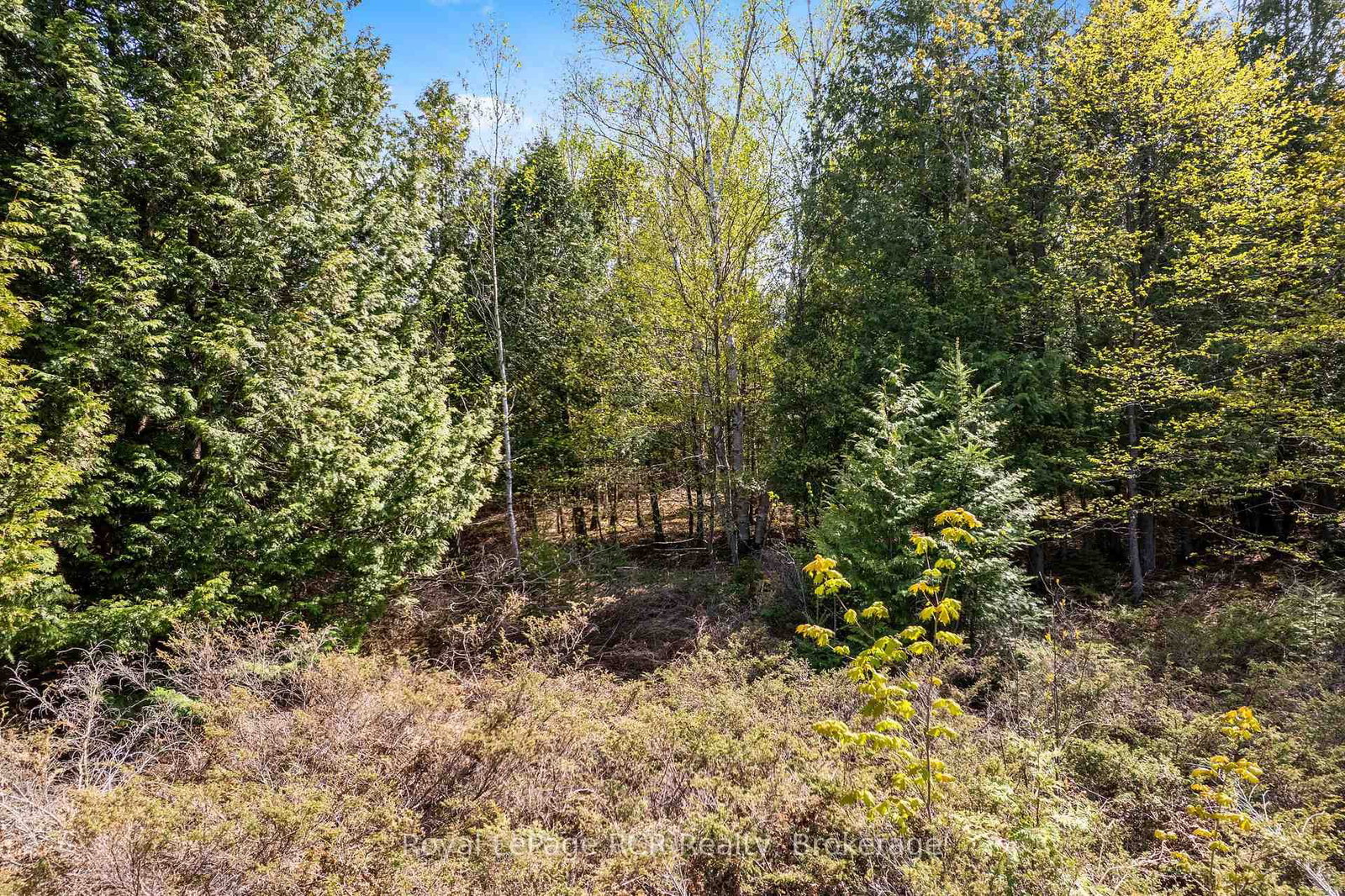 N/A SUTTER ROAD Road W • Northern Bruce Peninsula, ON photo 30