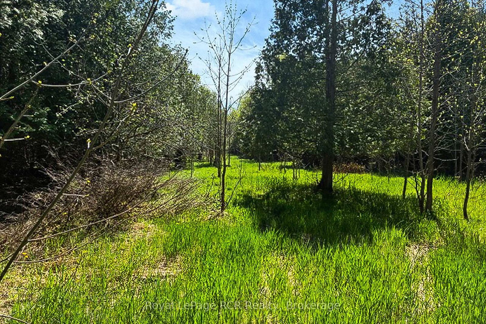 N/A SUTTER ROAD Road W • Northern Bruce Peninsula, ON photo 33