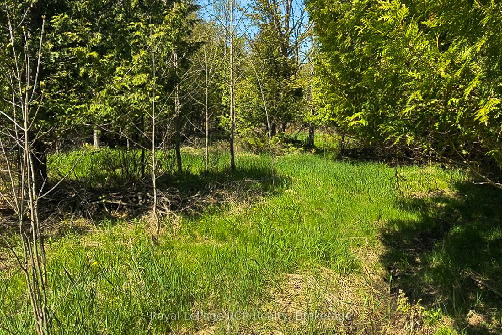 N/A SUTTER ROAD Road W • Northern Bruce Peninsula, ON photo 34