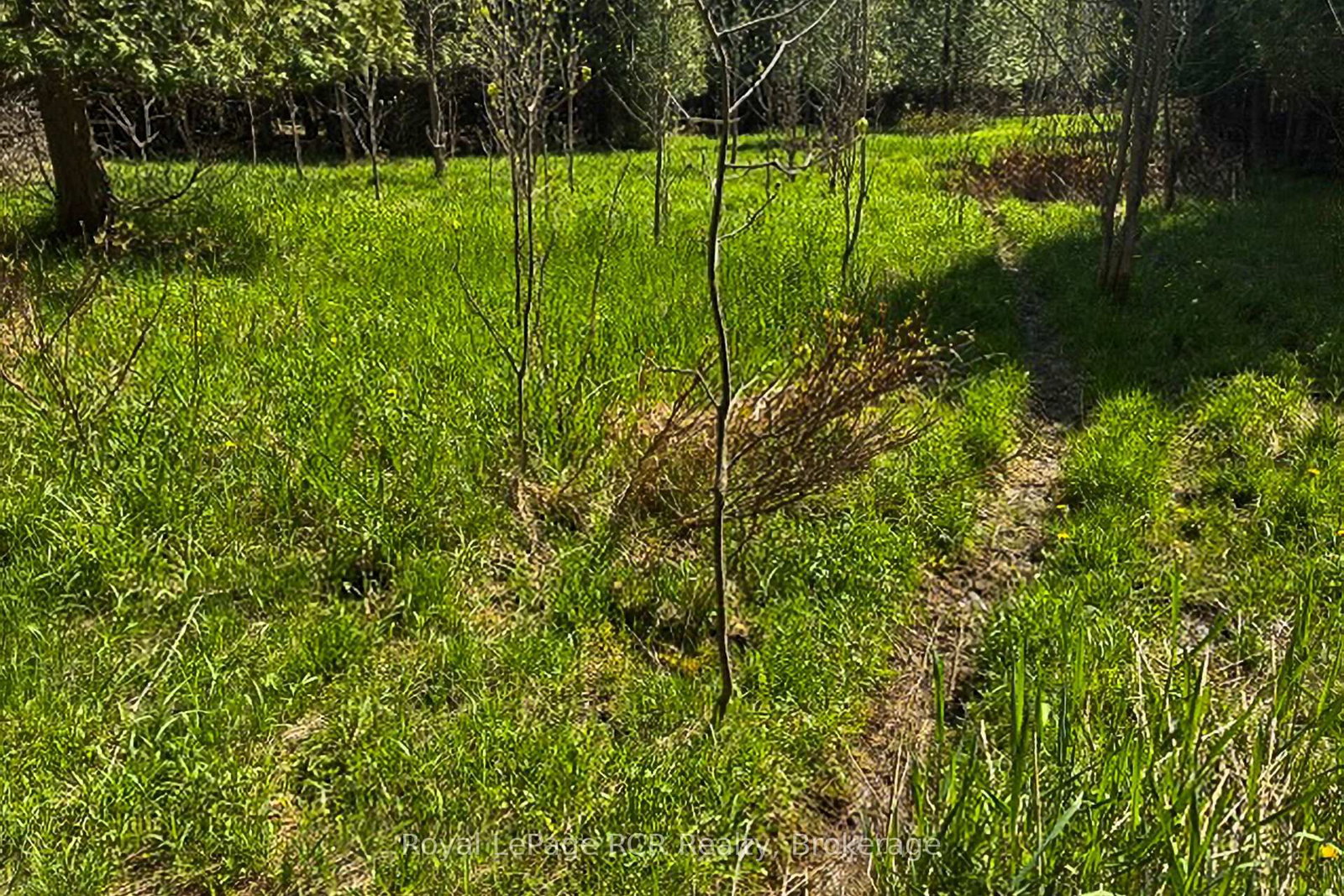 N/A SUTTER ROAD Road W • Northern Bruce Peninsula, ON photo 35