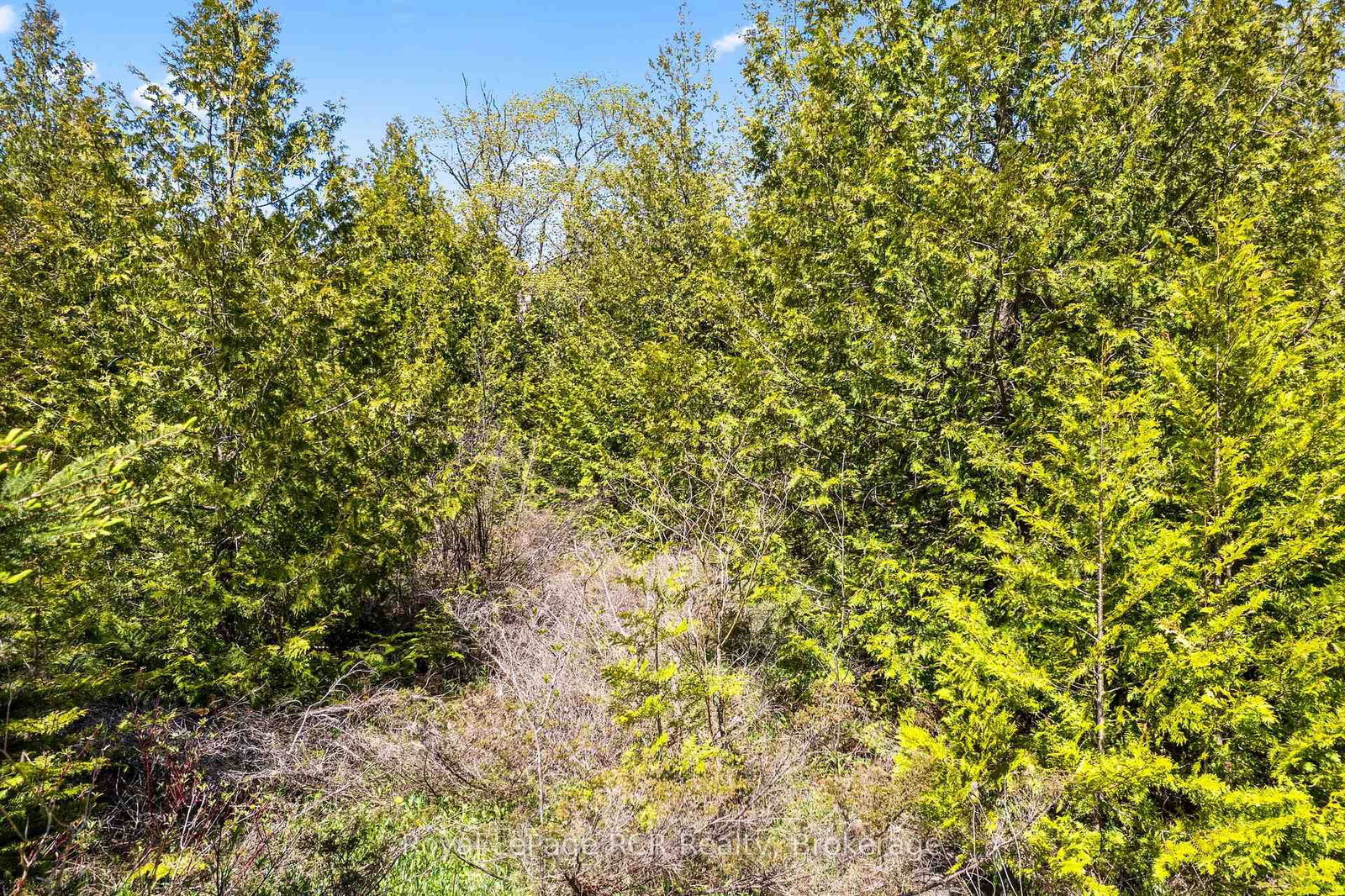 N/A SUTTER ROAD Road W • Northern Bruce Peninsula, ON photo 36
