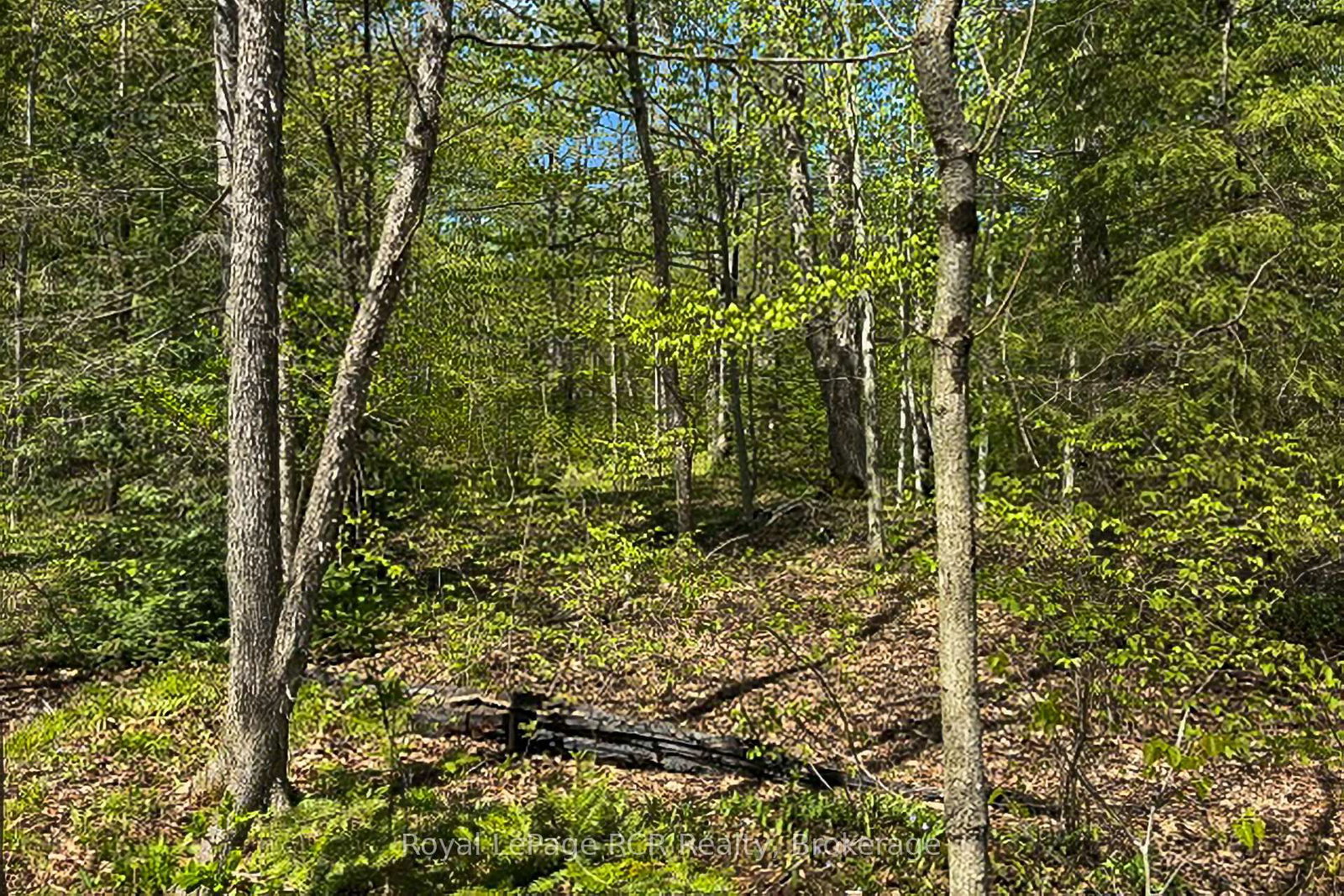 N/A SUTTER ROAD Road W • Northern Bruce Peninsula, ON photo 37