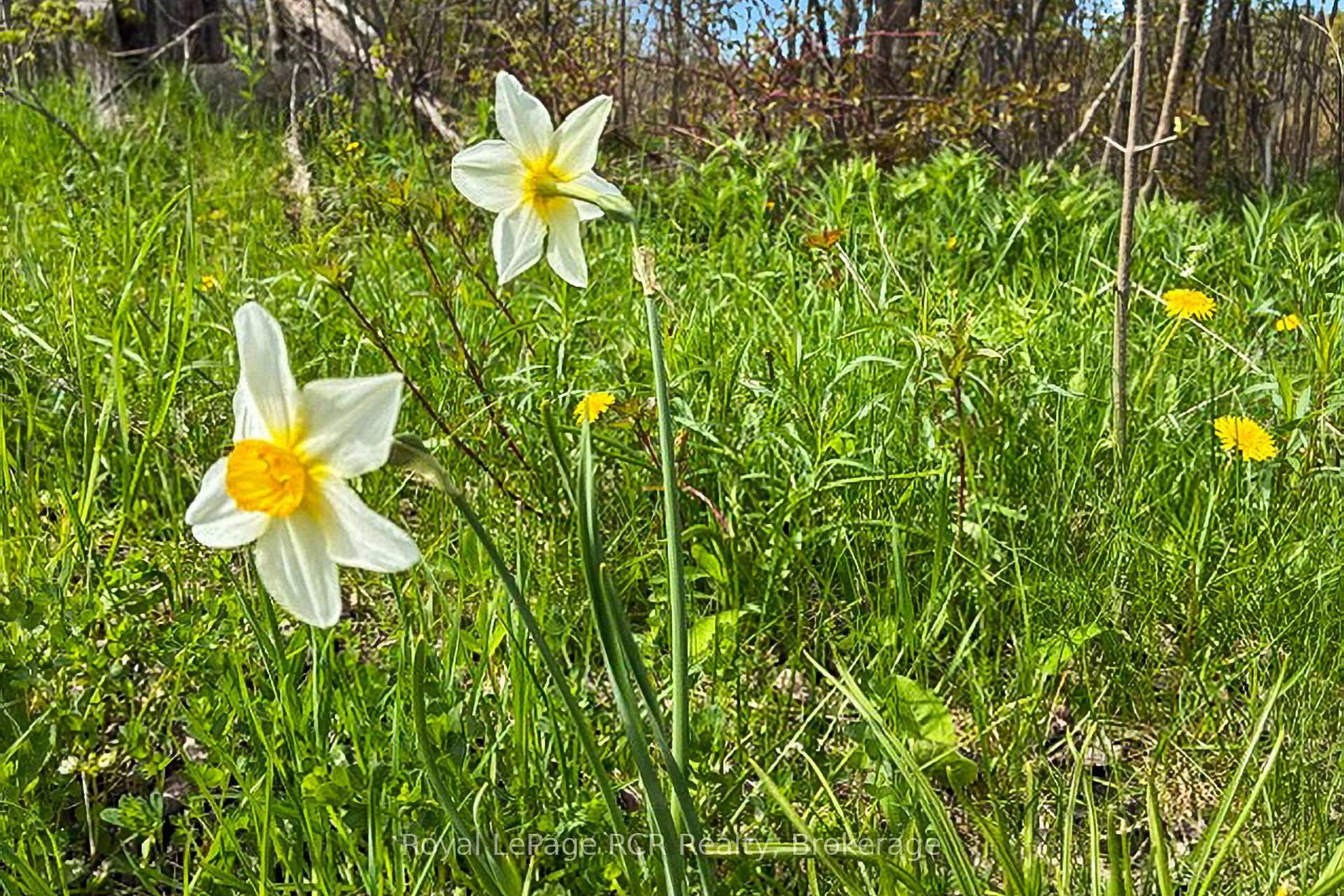 N/A SUTTER ROAD Road W • Northern Bruce Peninsula, ON photo 40