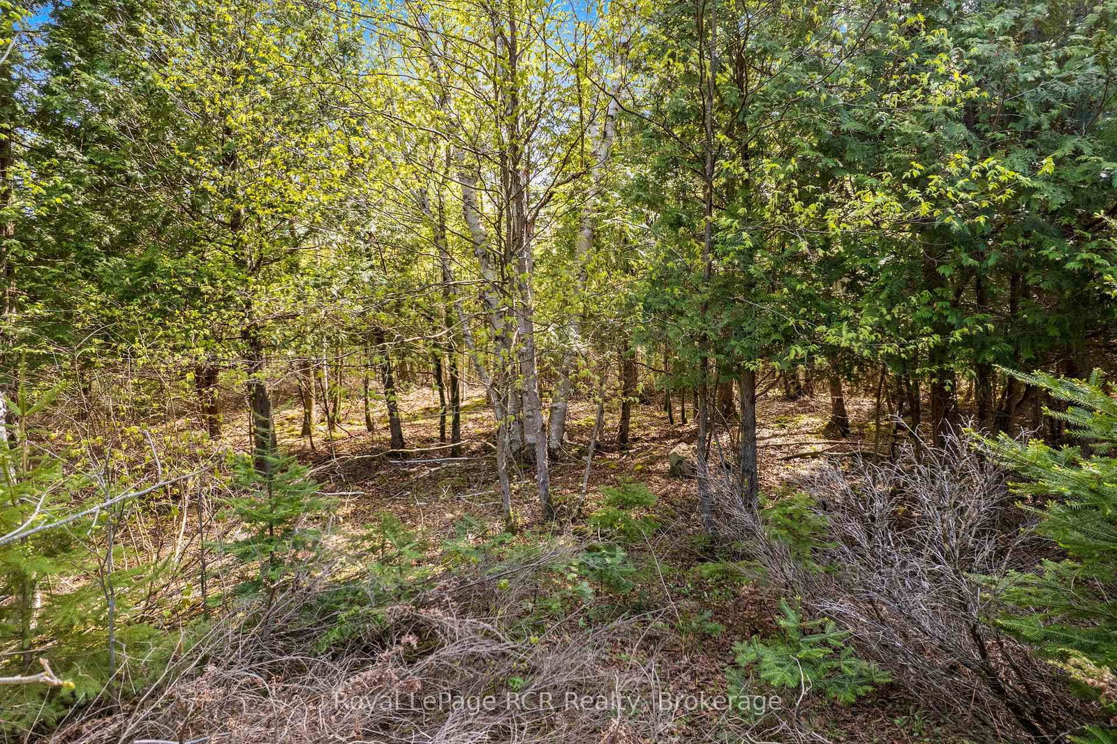 N/A SUTTER ROAD Road W • Northern Bruce Peninsula, ON photo 43