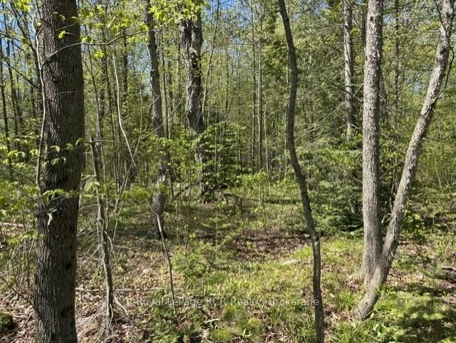 N/A SUTTER ROAD Road W • Northern Bruce Peninsula, ON photo 44
