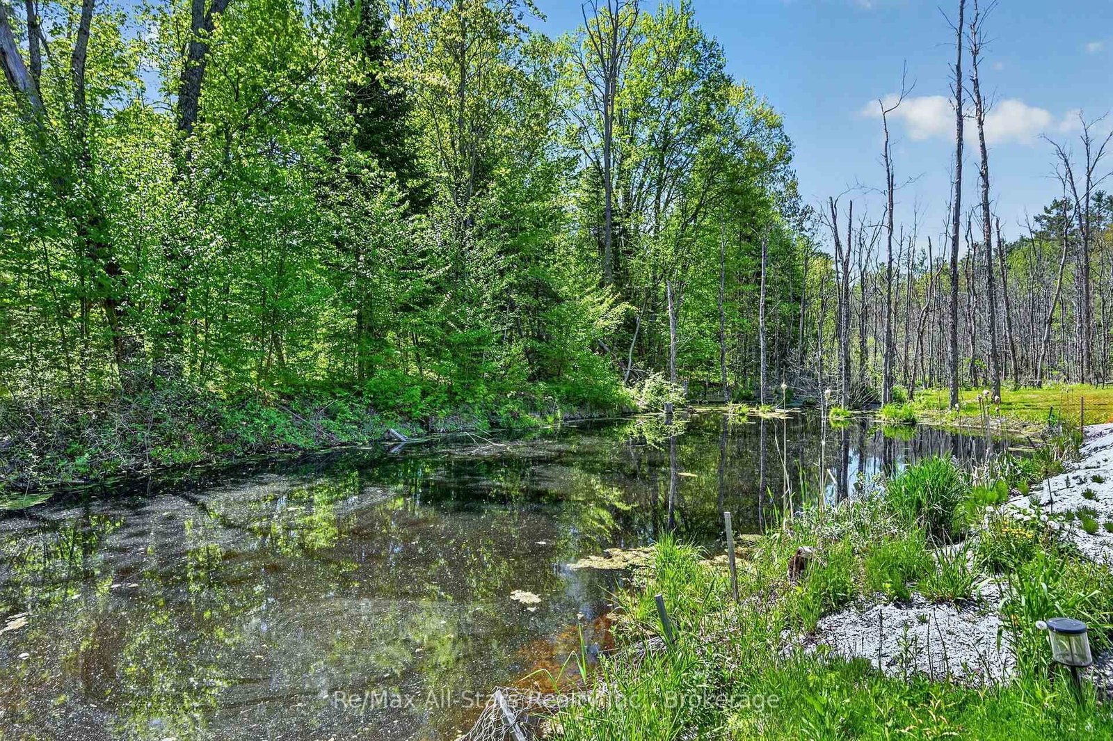 28 Pine Ridge Road • Kawartha Lakes, ON photo 34