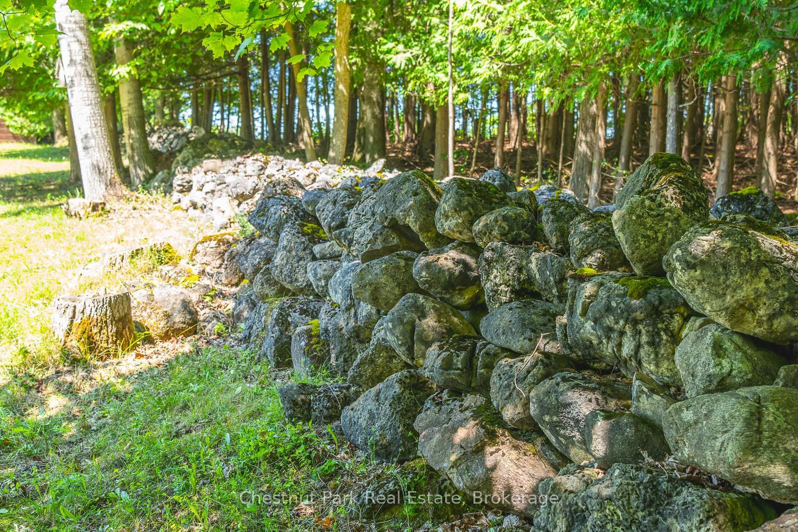 600380 Sideroad 50 N • Chatsworth, ON photo 43