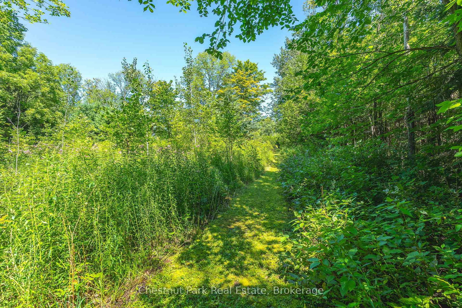 600380 Sideroad 50 N • Chatsworth, ON photo 48