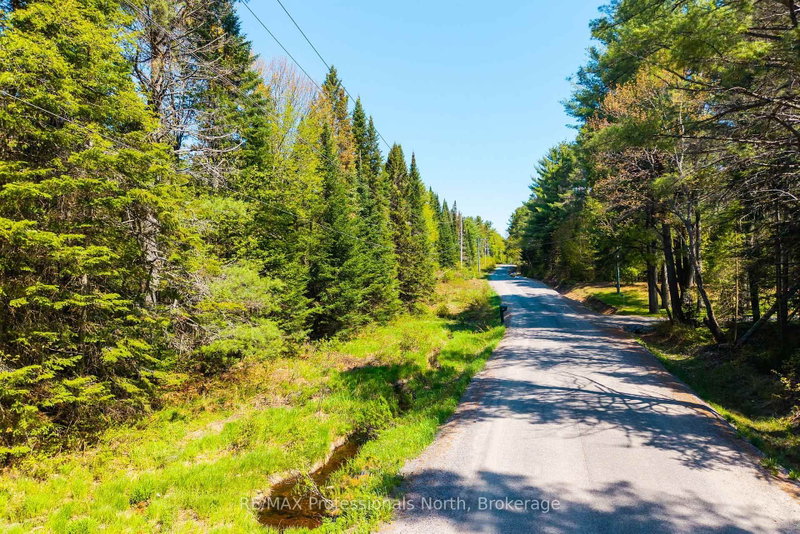 3116 Old Muskoka Rd photo 4