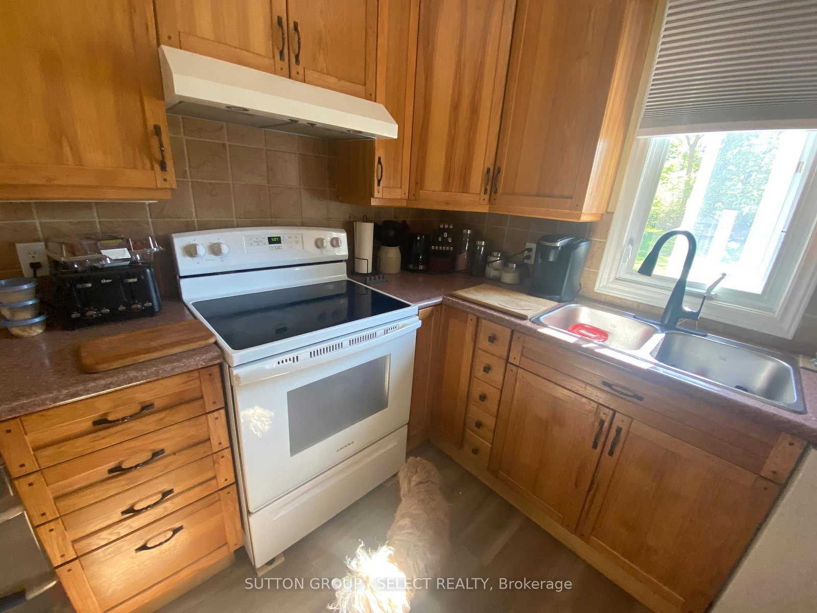 9 Prince Albert Street • Middlesex Centre, ON photo 13