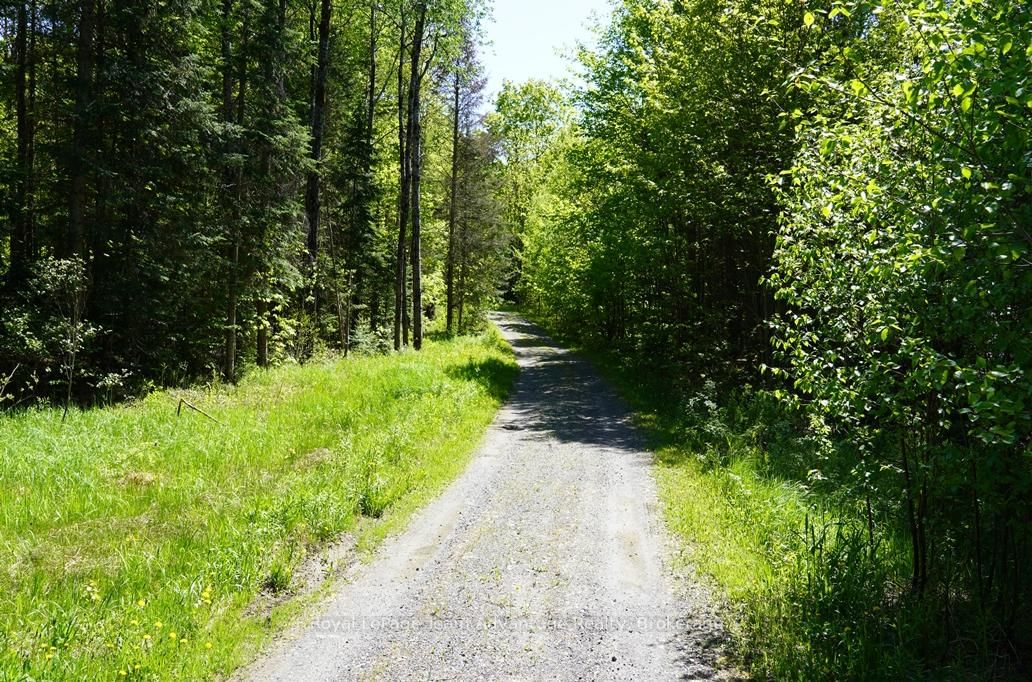 768 Hurdville Road • McKellar, ON photo 34
