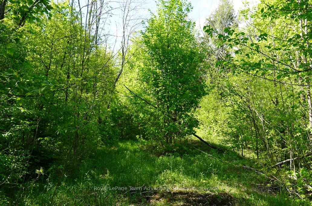 0 Hurdville Road S • McKellar, ON photo 2