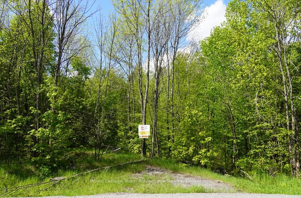 0 Hurdville Road S • McKellar, ON photo 4