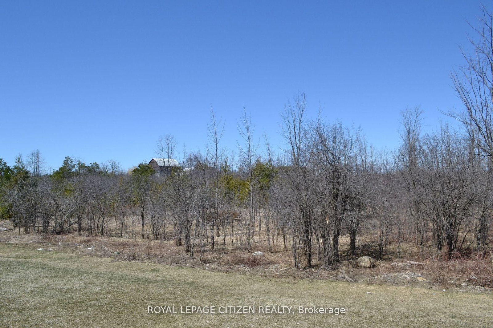 41 Carew Boulevard • Kawartha Lakes, ON photo 20