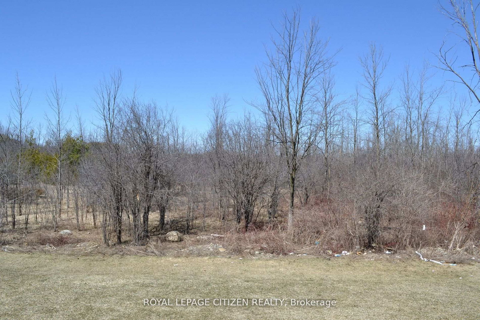 41 Carew Boulevard • Kawartha Lakes, ON photo 21