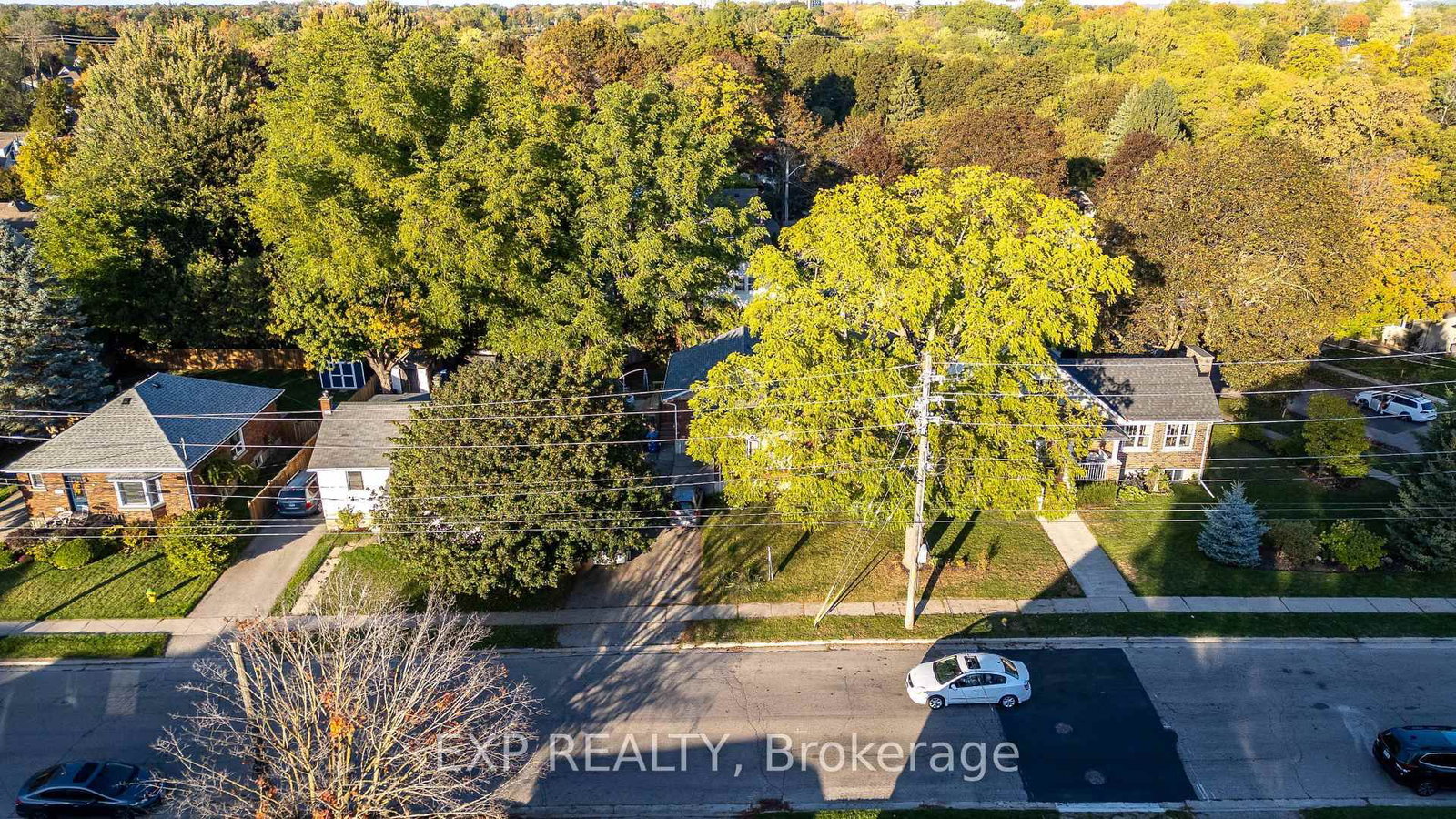 41 Alma Street N • Guelph, ON photo 32