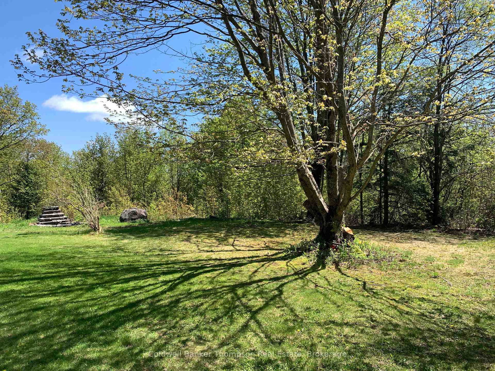 79 Oakridge Drive • Strong, ON photo 14
