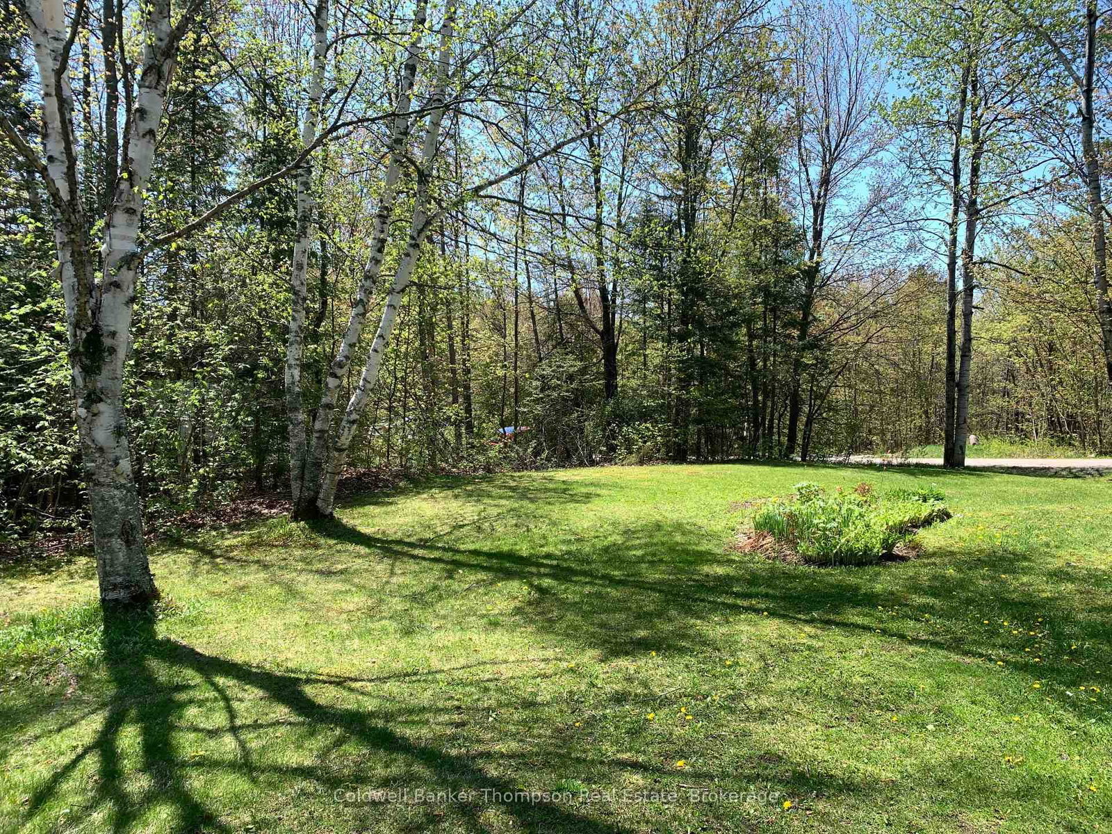 79 Oakridge Drive • Strong, ON photo 15