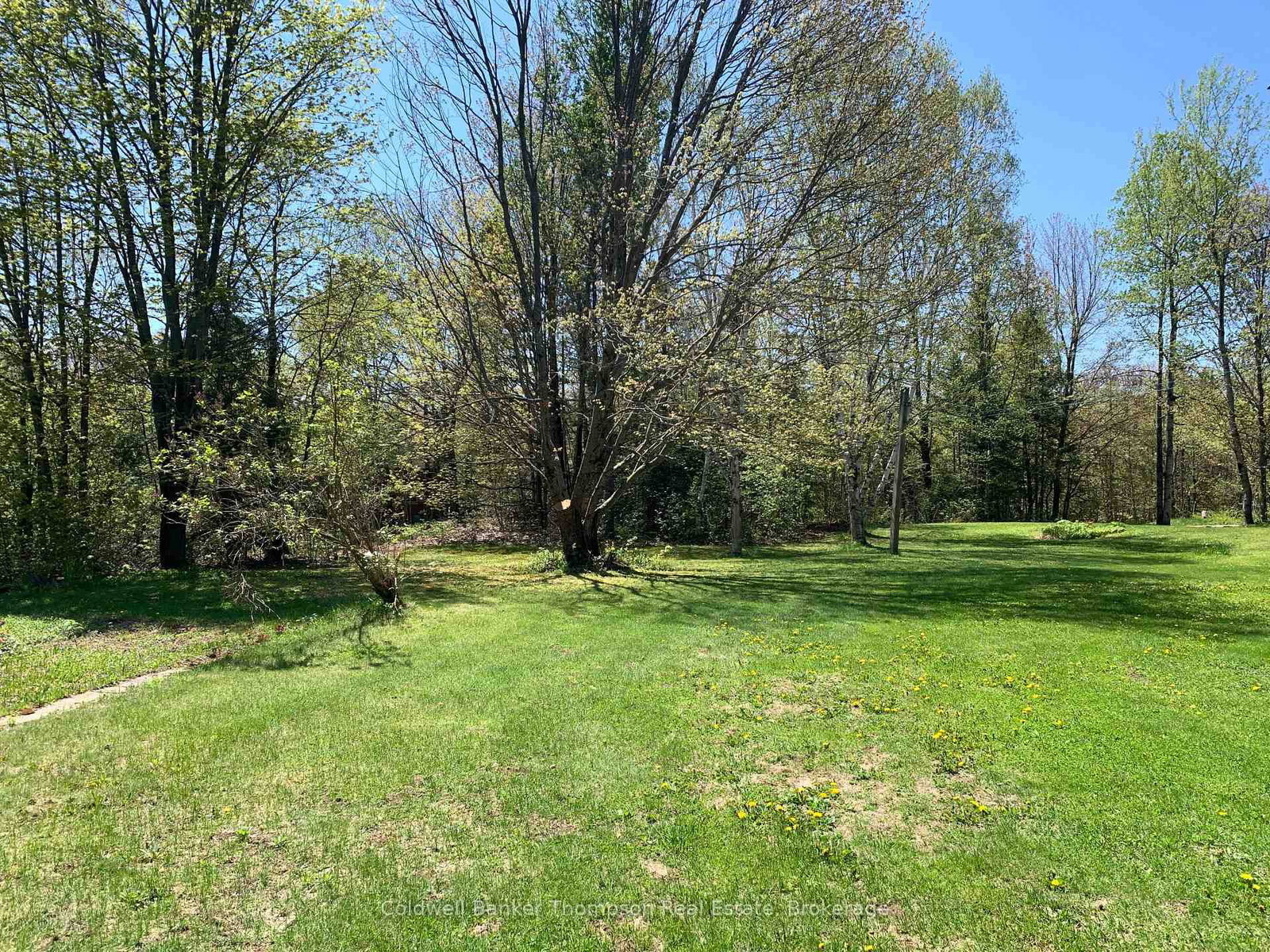 79 Oakridge Drive • Strong, ON photo 16