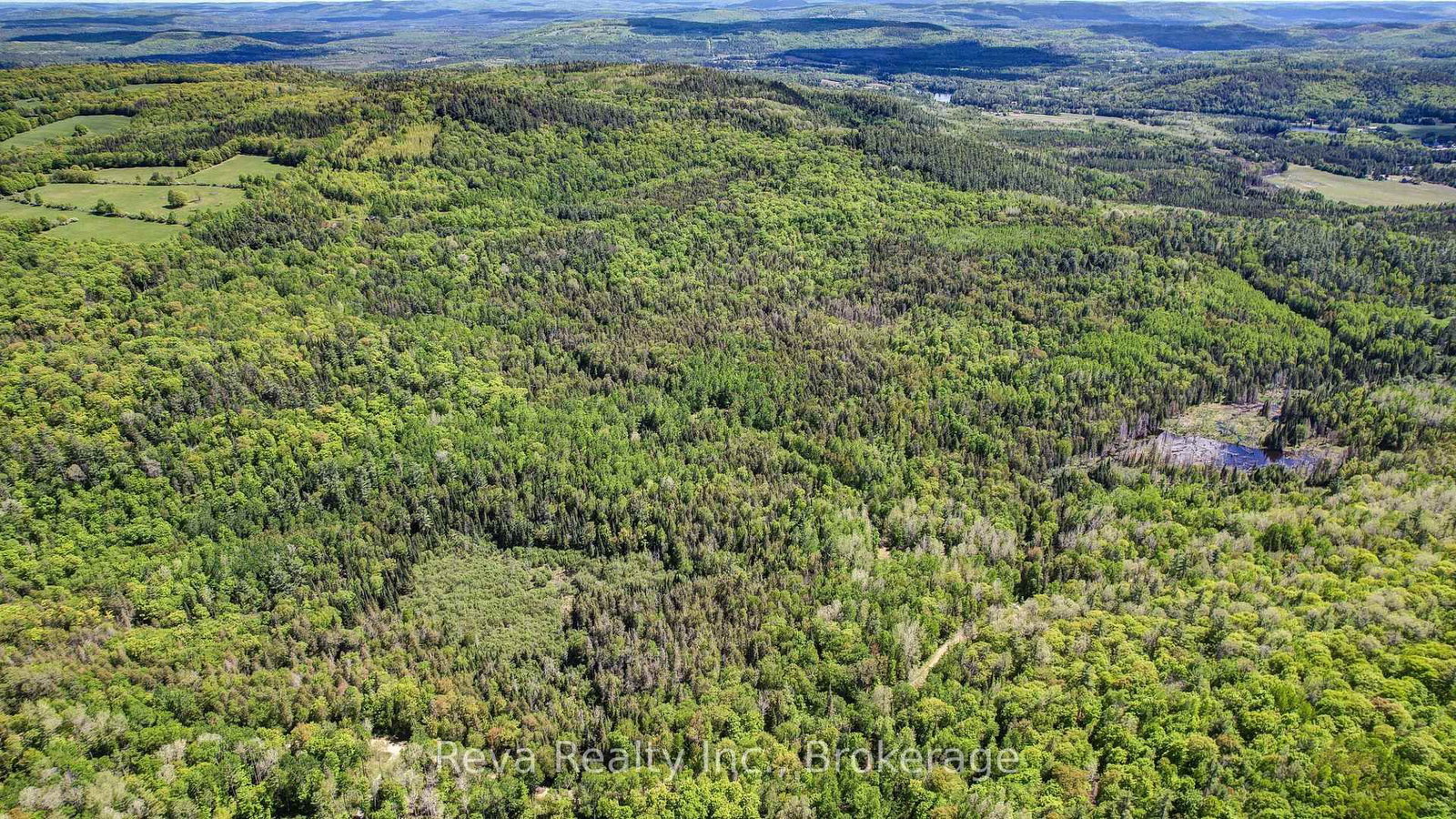 280 Lower Rosenthal Road • Cloyne, ON photo 21