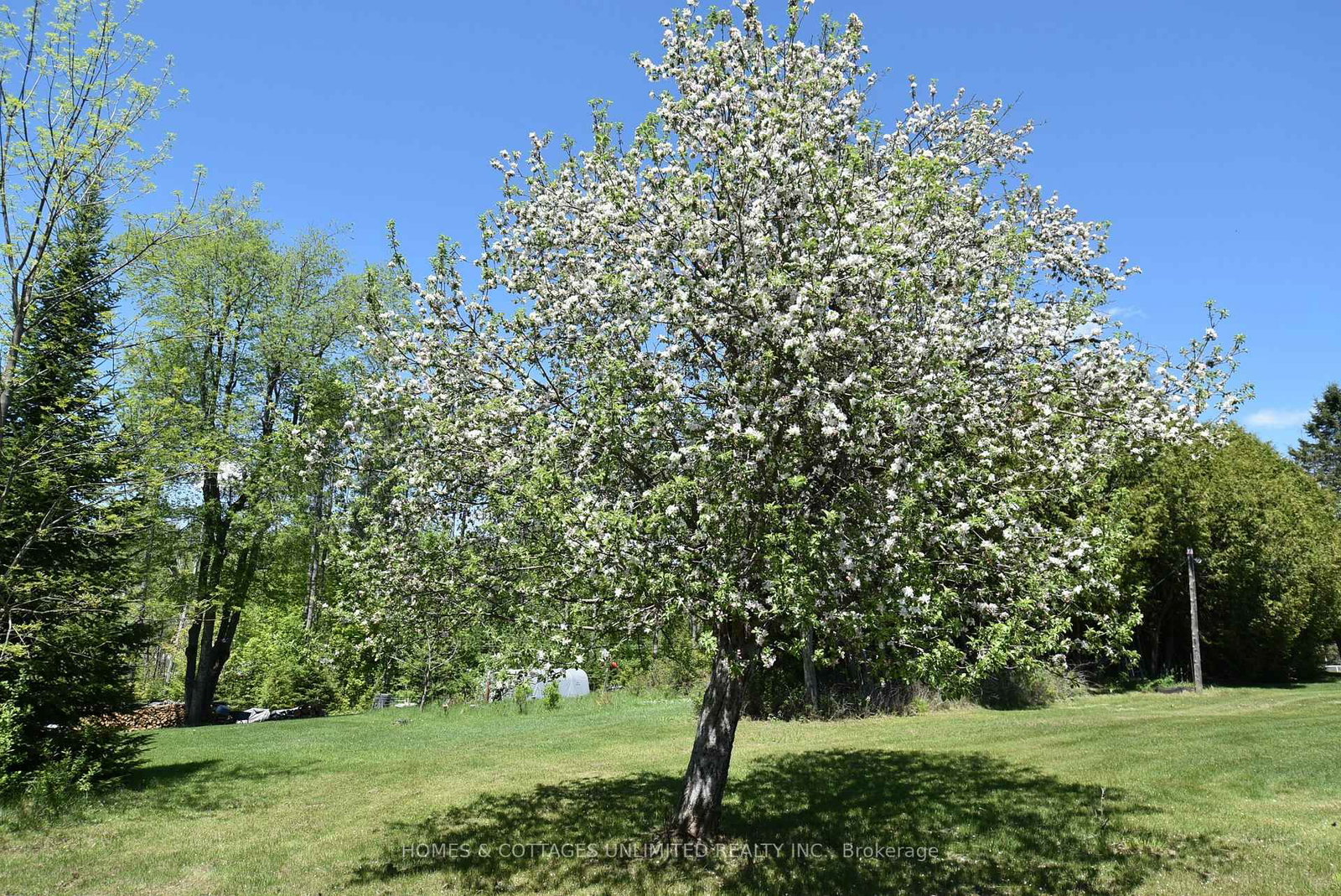 6628 Buckshot Lake Road • Plevna, ON photo 11