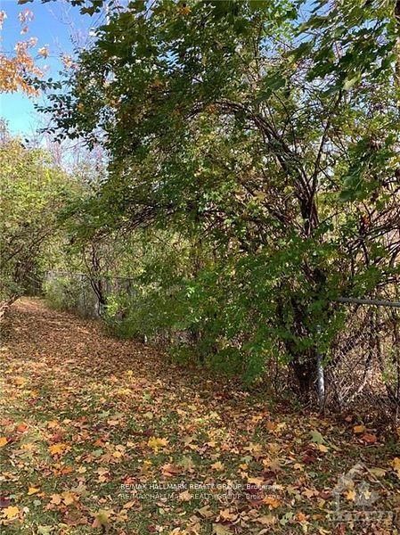 84 Paddington Street • #- • Ottawa, ON photo 14